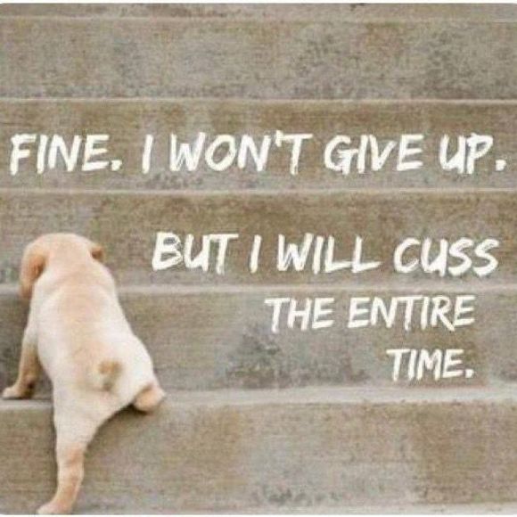 Meet your Posher, Judy - Picture 1 of 1